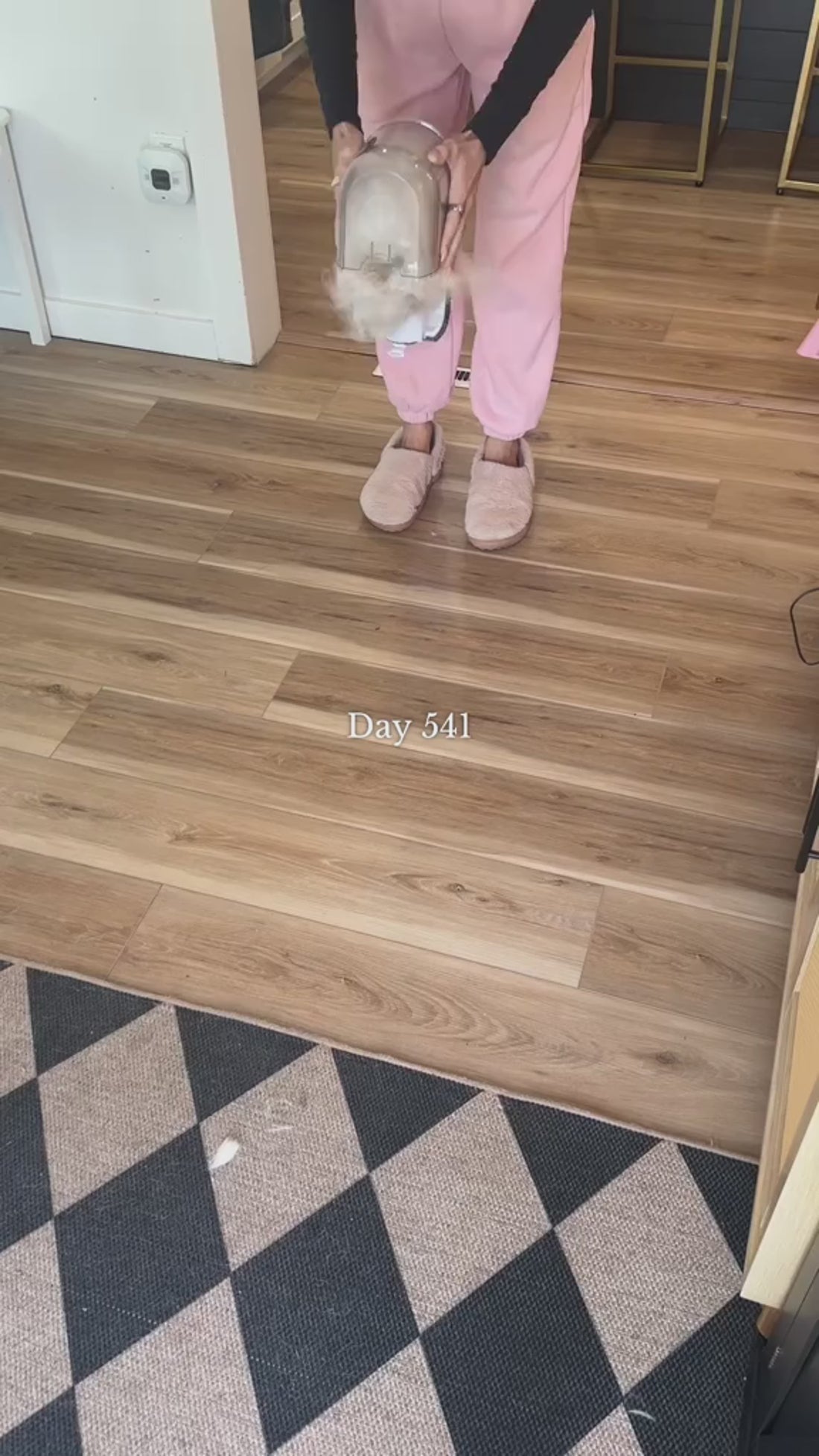 Velinix Cordless Vacuum video